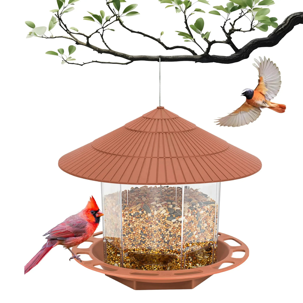 DryPerch™ All-Weather Bird Feeder
