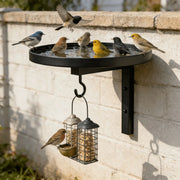 Ledgewater™ Wall-Mounted Bird Bath