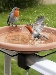 Copper disc in clear bird bath water
