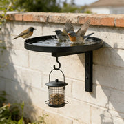 Ledgewater™ Wall-Mounted Bird Bath