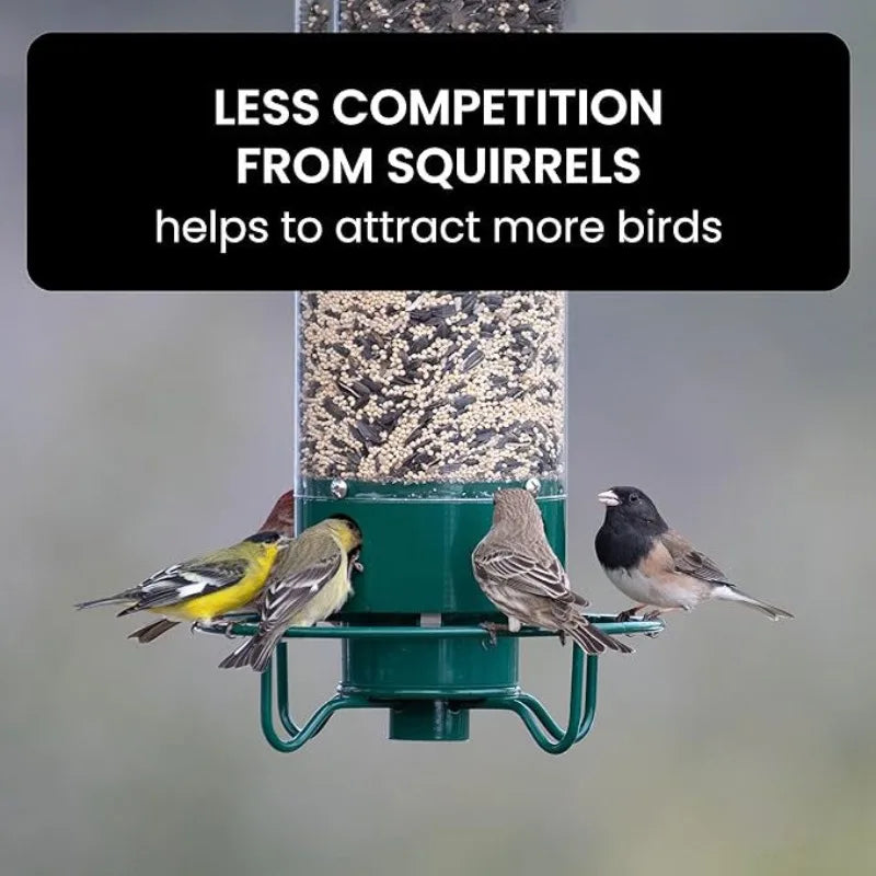 Outwit™ Squirrel-Proof Feeder