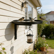 Ledgewater™ Wall-Mounted Bird Bath