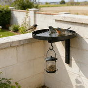 Ledgewater™ Wall-Mounted Bird Bath