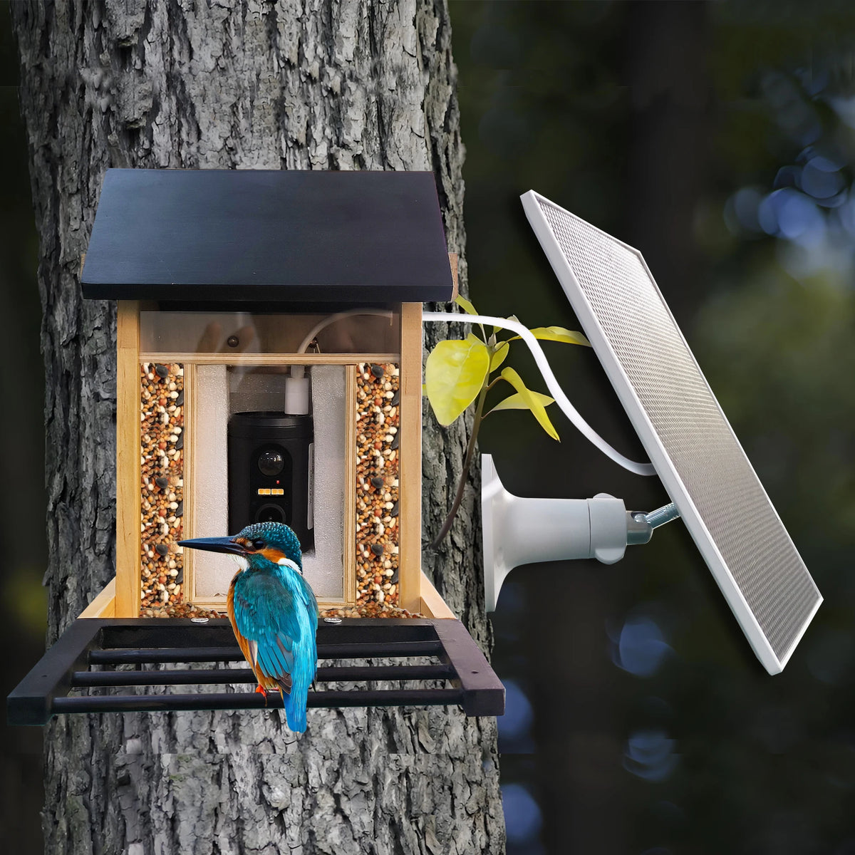 Watchpost™ Camera Feeder