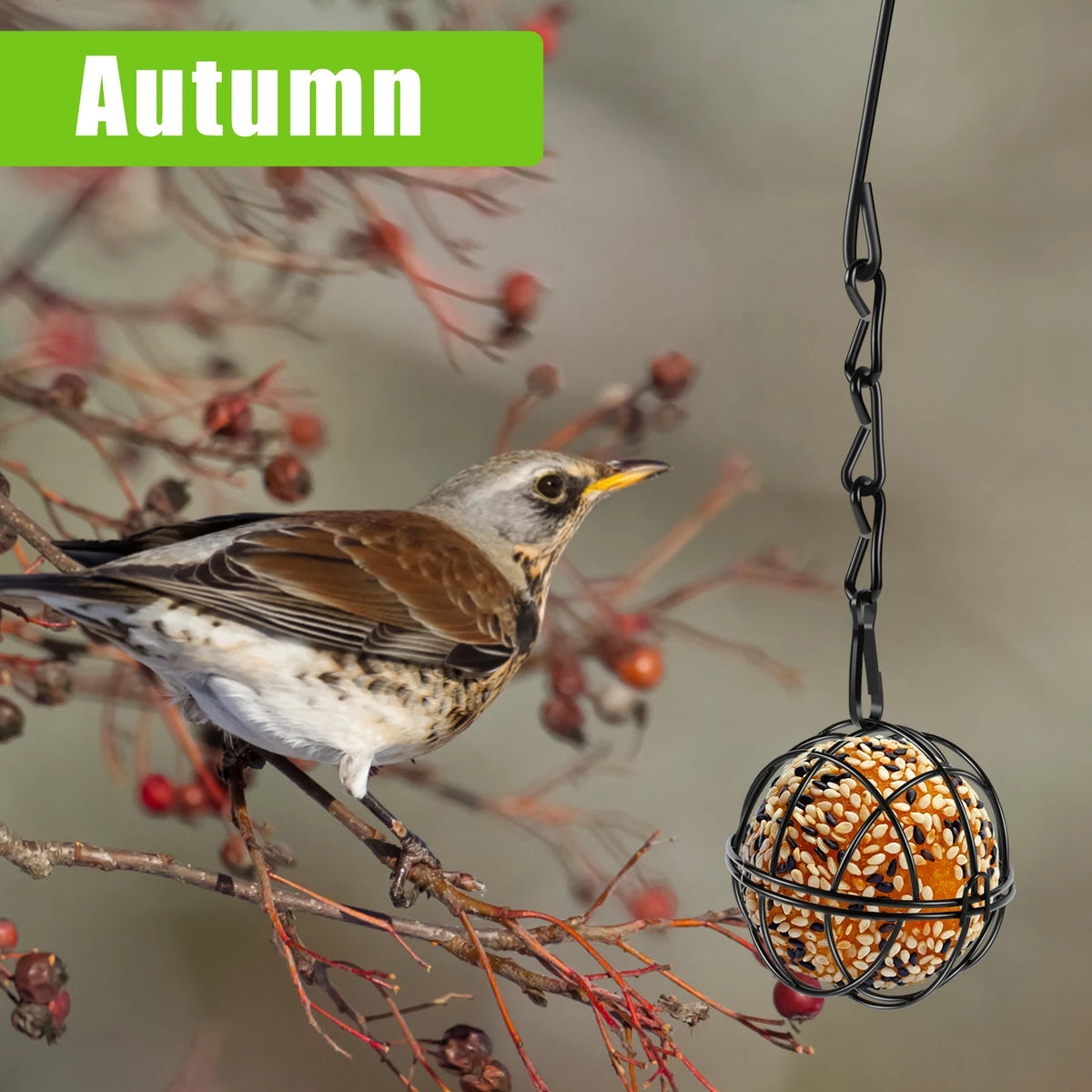 Larder™ Suet Ball Feeder